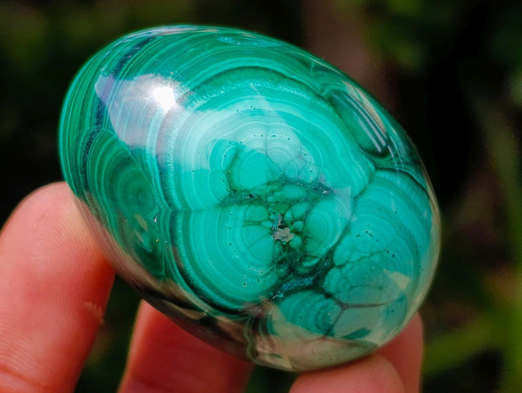 Polished Flower Banded Malachite Gemstone Eggs x 6 From Congo