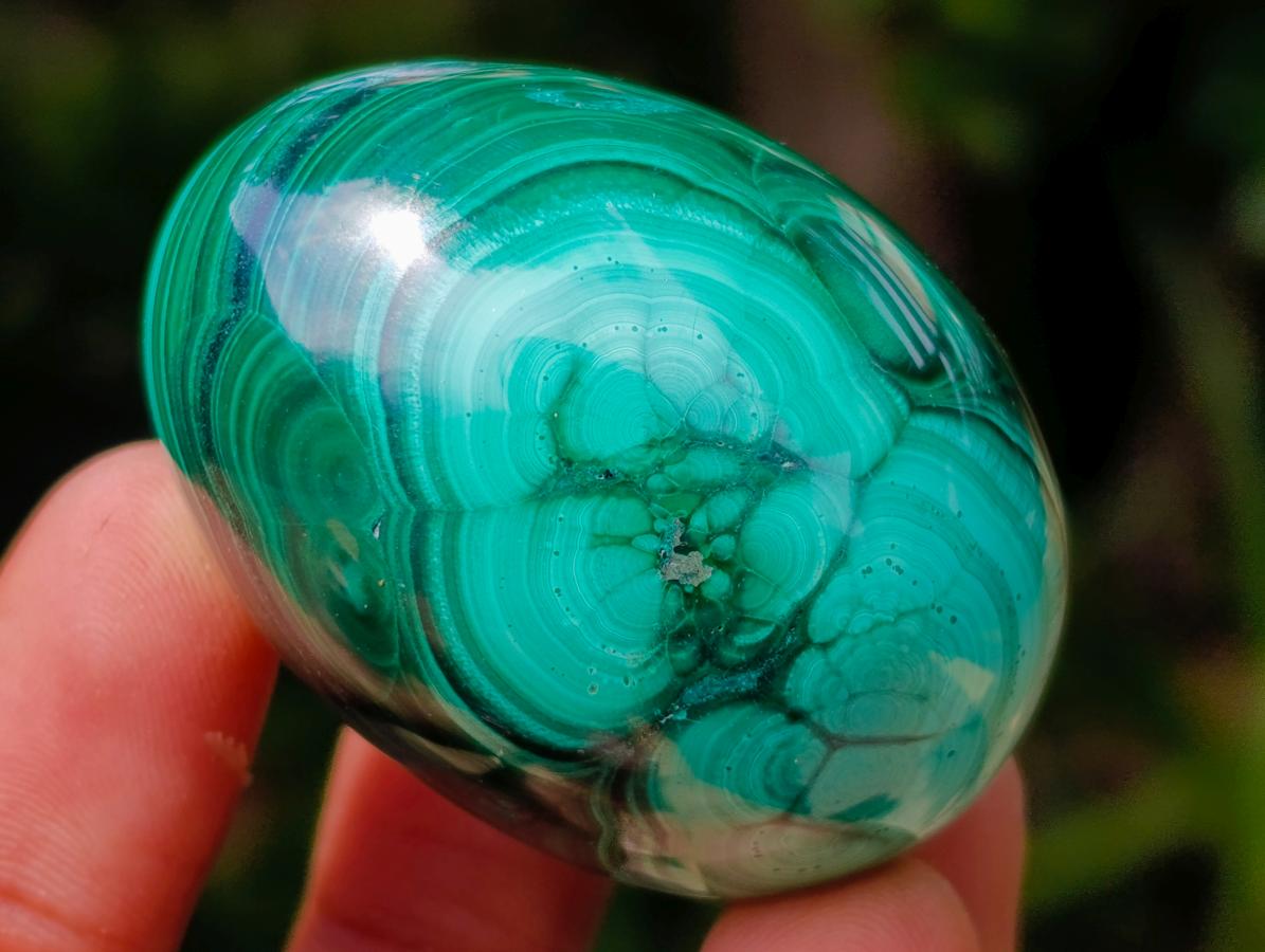 Polished Flower Banded Malachite Gemstone Eggs x 6 From Congo