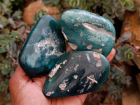 Polished Mtorolite Free Forms x 12 From Mutorashanga, Zimbabwe