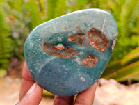 Polished Mtorolite Free Forms x 12 From Mutorashanga, Zimbabwe