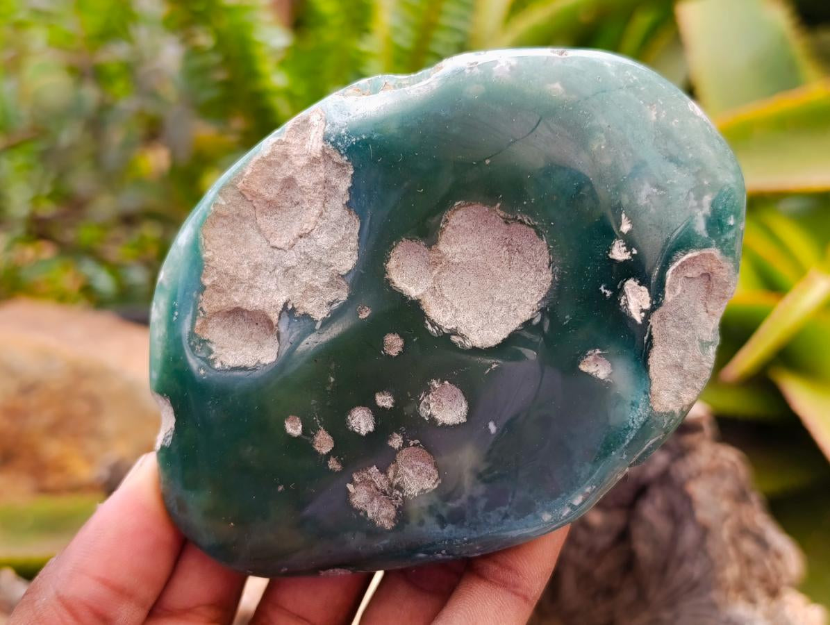 Polished Mtorolite Free Forms x 12 From Mutorashanga, Zimbabwe