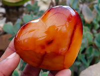 Polished Carnelian Agate Gemstone Hearts x 6 From Madagascar