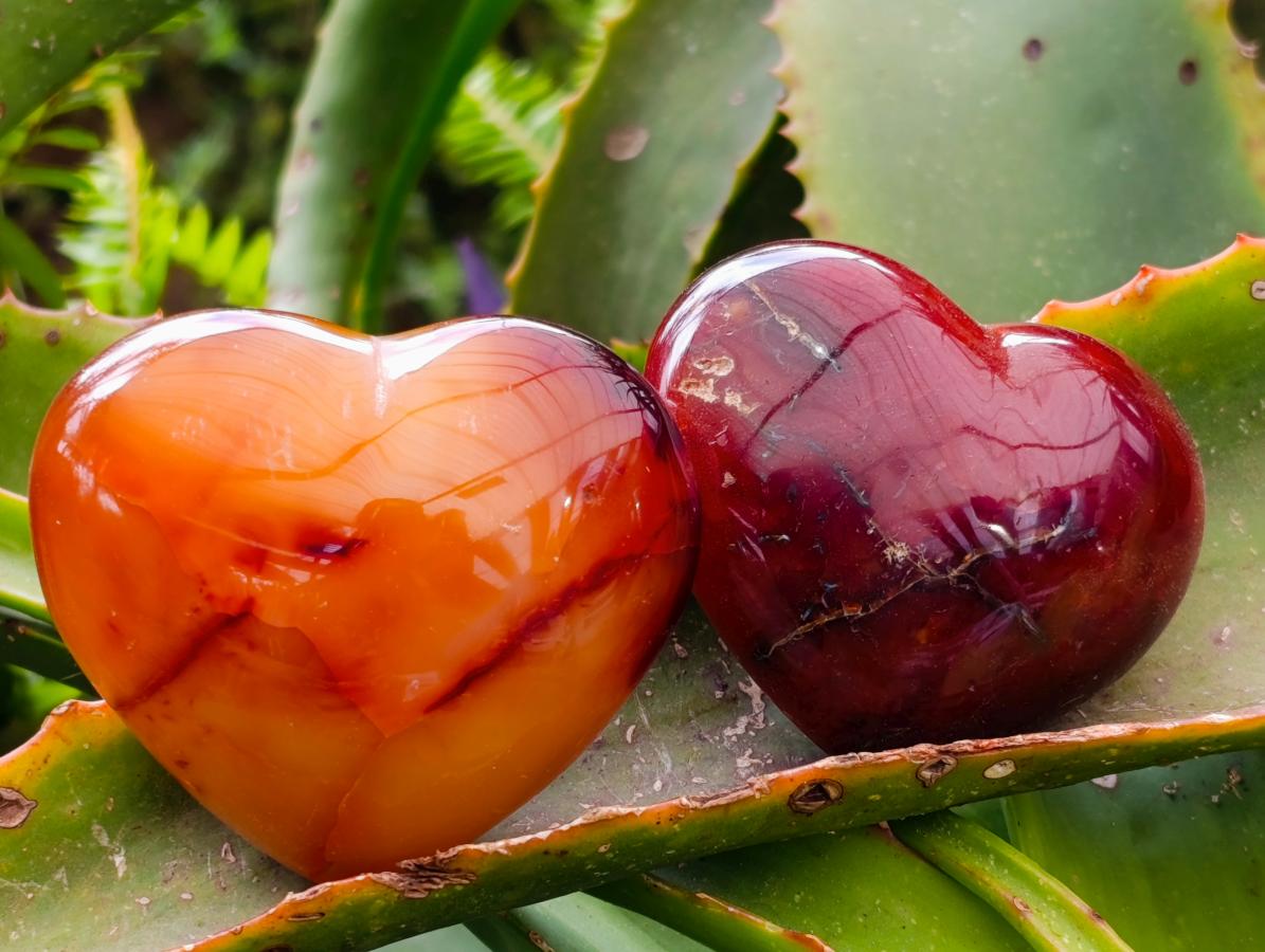 Polished Carnelian Agate Gemstone Hearts x 6 From Madagascar - Toprock Gemstones and Minerals 