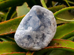 Natural Blue Celestite Geode Specimens x 2 From Sakoany, Madagascar