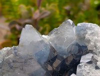 Natural Blue Celestite Geode Specimens x 2 From Sakoany, Madagascar
