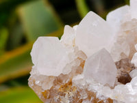 Natural White Spirit Quartz Clusters x 6 From Boekenhouthoek, South Africa
