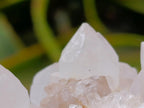 Natural White Spirit Quartz Clusters x 6 From Boekenhouthoek, South Africa