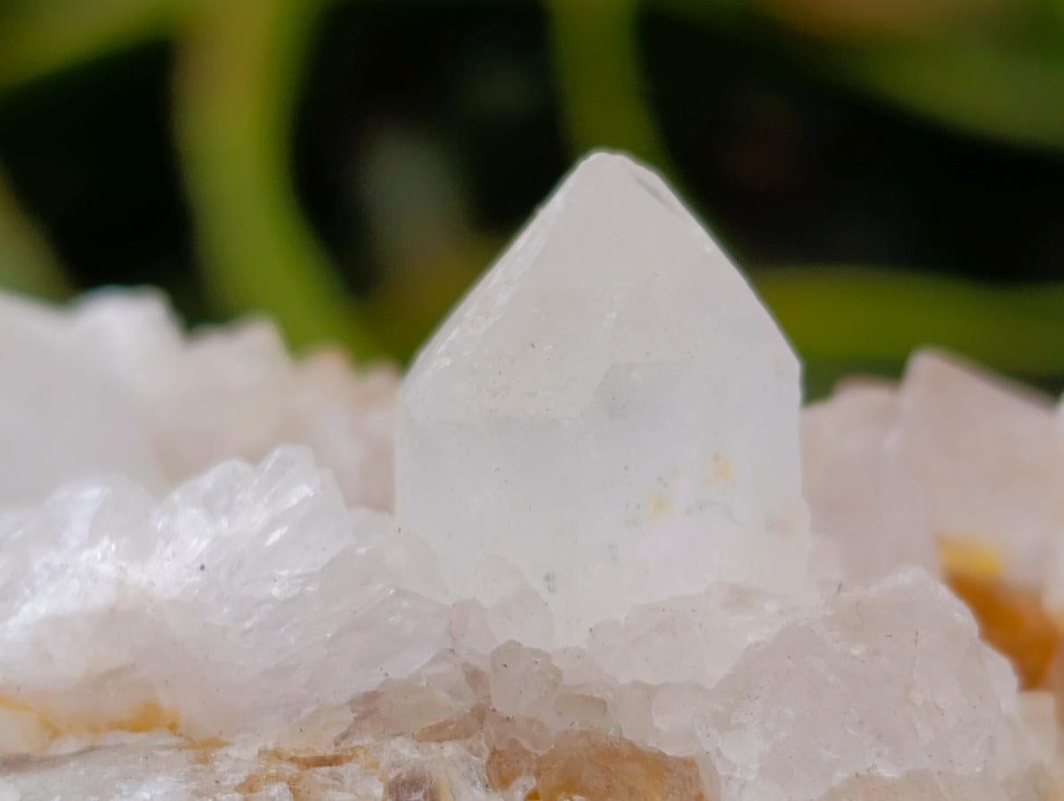 Natural White Spirit Quartz Clusters x 6 From Boekenhouthoek, South Africa