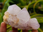 Natural White Spirit Quartz Clusters x 6 From Boekenhouthoek, South Africa