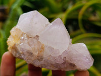 Natural White Spirit Quartz Clusters x 6 From Boekenhouthoek, South Africa