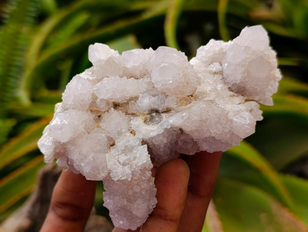 Natural White Spirit Quartz Clusters x 6 From Boekenhouthoek, South Africa
