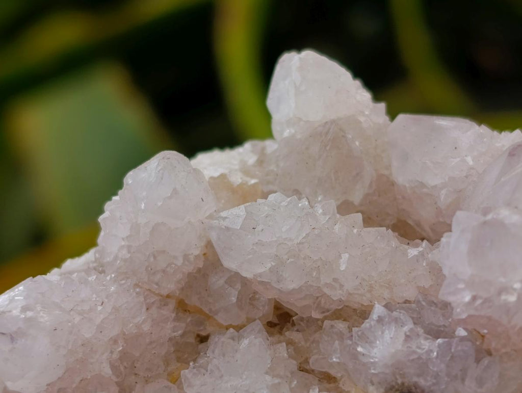 Natural White Spirit Quartz Clusters x 6 From Boekenhouthoek, South Africa
