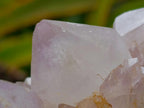 Natural White Spirit Quartz Clusters x 6 From Boekenhouthoek, South Africa