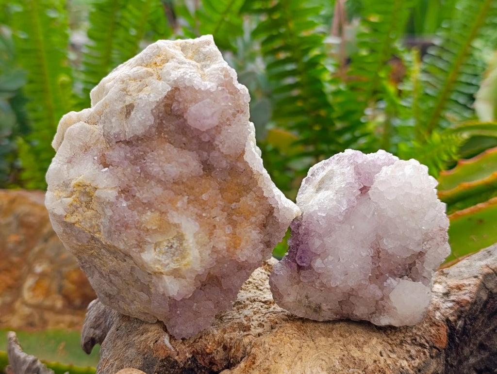 Natural White Spirit Quartz Clusters x 6 From Boekenhouthoek, South Africa