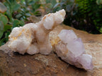 Natural White Spirit Quartz Clusters x 6 From Boekenhouthoek, South Africa