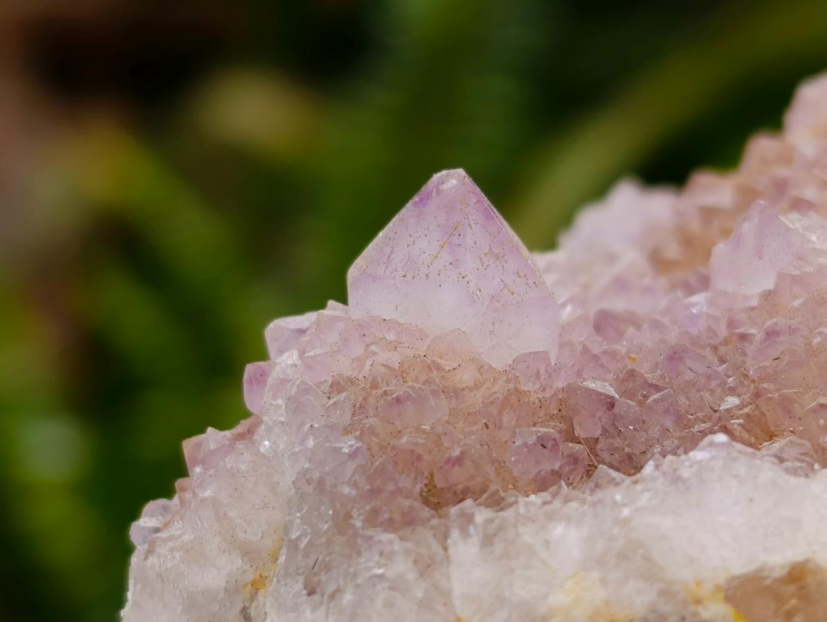 Natural White Spirit Quartz Clusters x 6 From Boekenhouthoek, South Africa