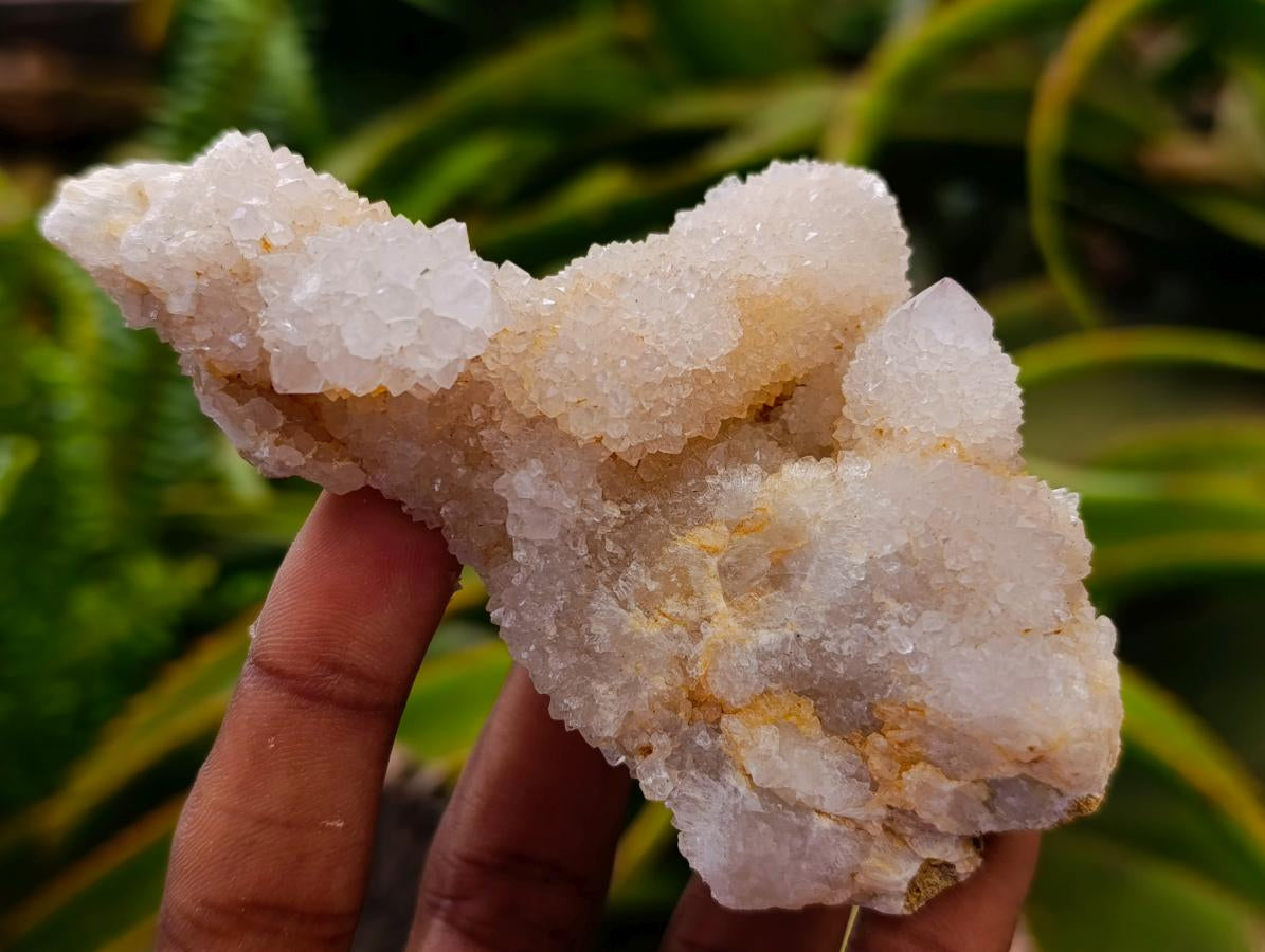 Natural White Spirit Quartz Clusters x 6 From Boekenhouthoek, South Africa