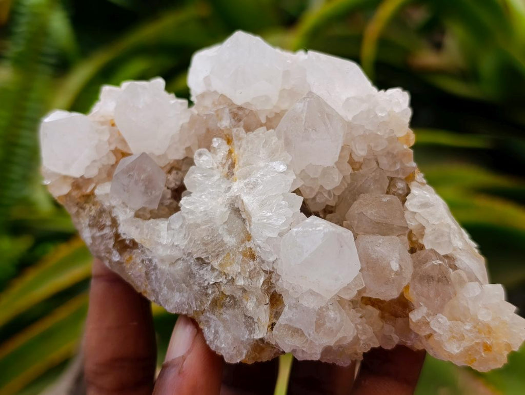 Natural White Spirit Quartz Clusters x 6 From Boekenhouthoek, South Africa