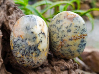 Polished Dendritic Opal Palm Stones x 12 From Moralambo, Madagascar
