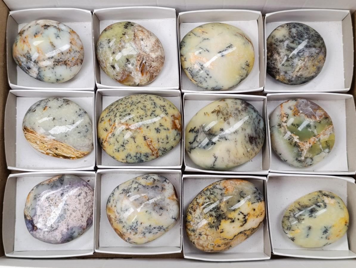 Polished Dendritic Opal Palm Stones x 12 From Moralambo, Madagascar