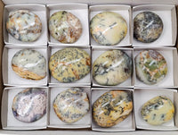 Polished Dendritic Opal Palm Stones x 12 From Moralambo, Madagascar