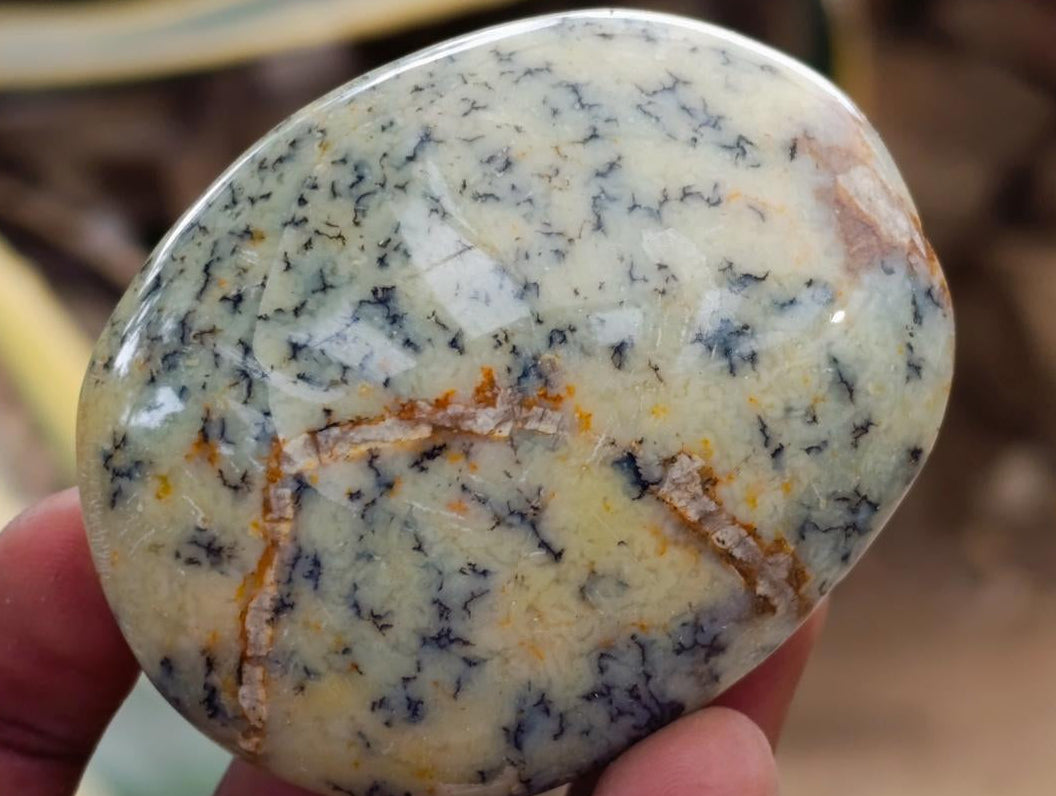 Polished Dendritic Opal Palm Stones x 12 From Moralambo, Madagascar