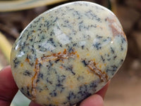 Polished Dendritic Opal Palm Stones x 12 From Moralambo, Madagascar