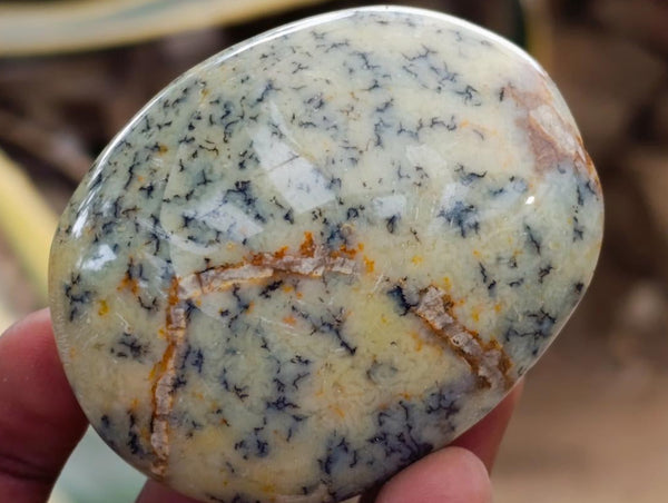 Polished Dendritic Opal Palm Stones x 12 From Moralambo, Madagascar