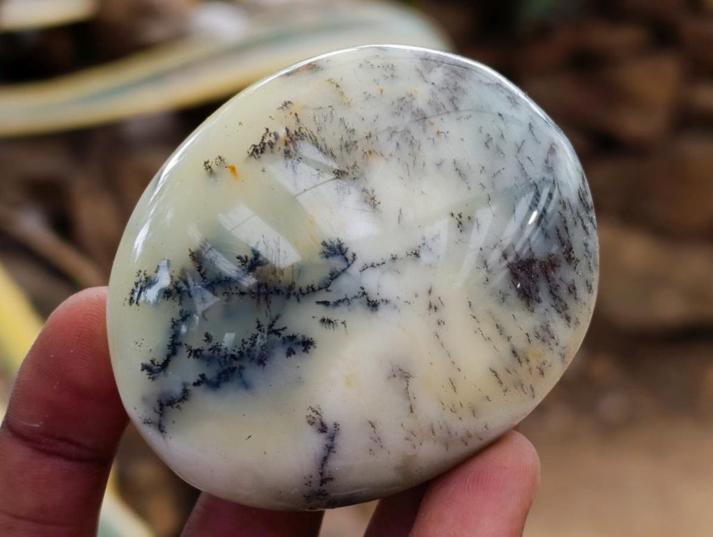 Polished Dendritic Opal Palm Stones x 12 From Moralambo, Madagascar - Toprock Gemstones and Minerals 