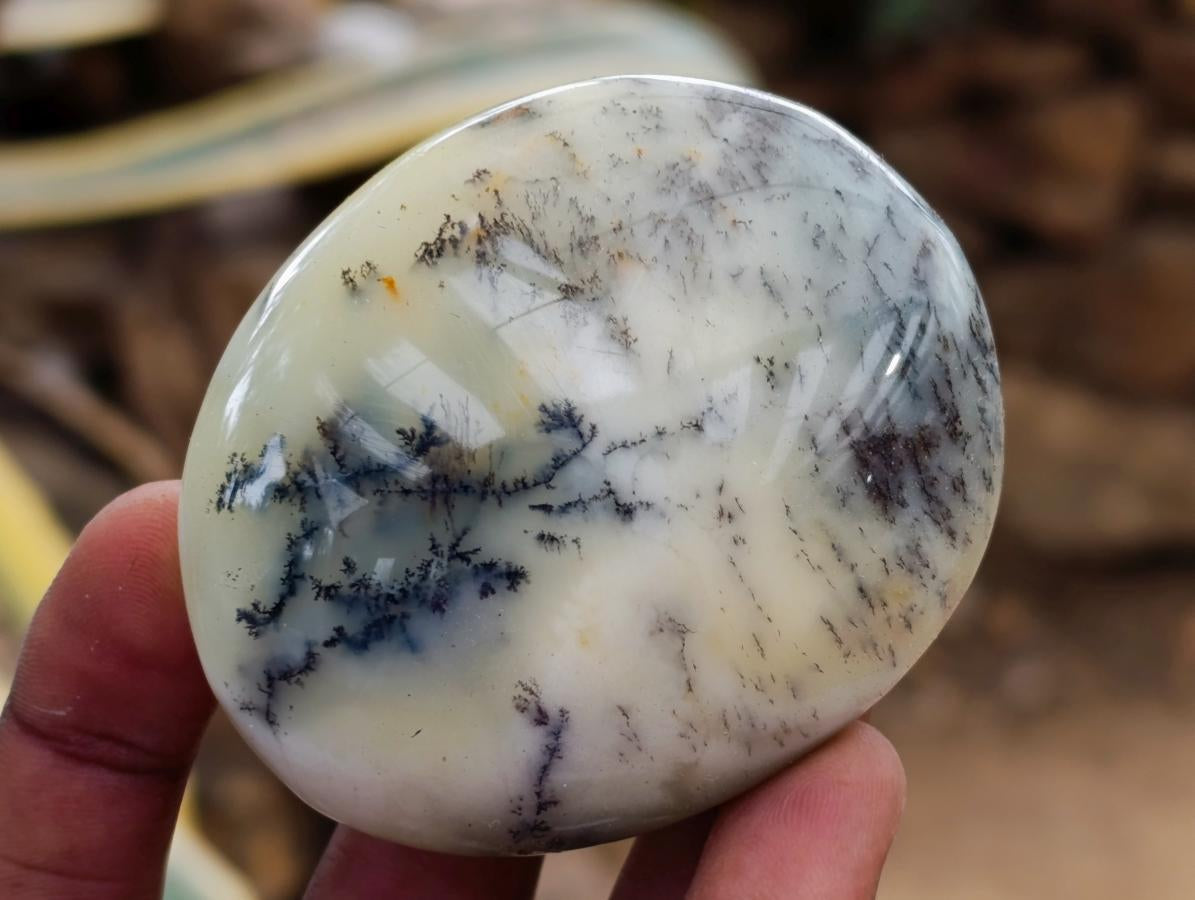 Polished Dendritic Opal Palm Stones x 12 From Moralambo, Madagascar - Toprock Gemstones and Minerals 
