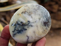 Polished Dendritic Opal Palm Stones x 12 From Moralambo, Madagascar