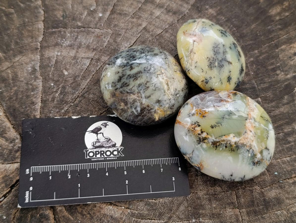 Polished Dendritic Opal Palm Stones x 12 From Moralambo, Madagascar - Toprock Gemstones and Minerals 
