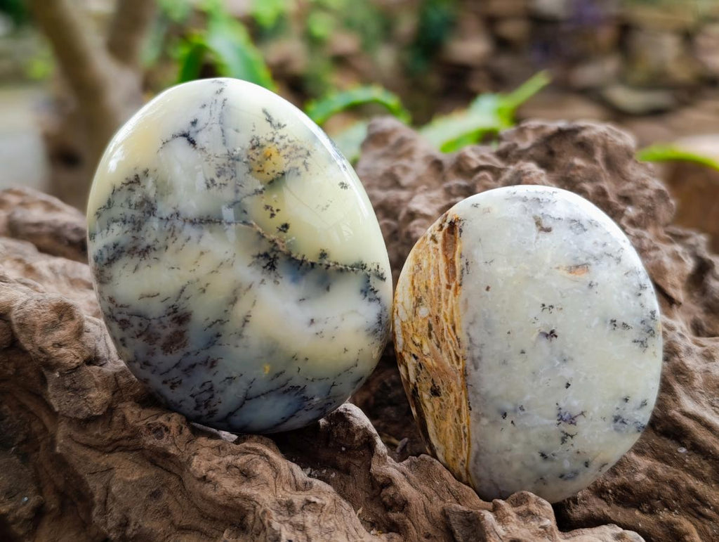 Polished Dendritic Opal Palm Stones x 12 From Moralambo, Madagascar - Toprock Gemstones and Minerals 