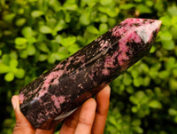 Polished Rhodonite Gemstone Display Crystals x 6 From Ambindavato, Madagascar