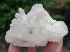 Natural Clear Quartz Clusters x 12 From Madagascar