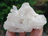 Natural Clear Quartz Clusters x 12 From Madagascar