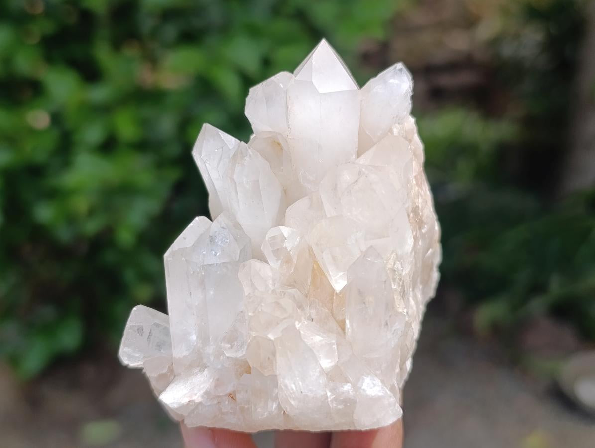 Natural Clear Quartz Clusters x 12 From Madagascar