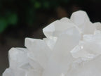 Natural Clear Quartz Clusters x 12 From Madagascar