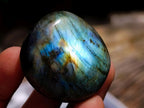 Polished Labradorite Palm Stones x 20 From Madagascar - Toprock Gemstones and Minerals 