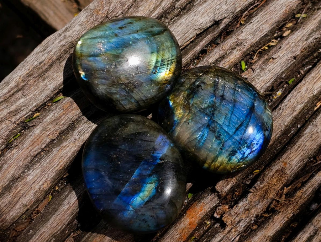 Polished Labradorite Palm Stones x 20 From Madagascar - Toprock Gemstones and Minerals 
