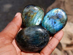 Polished Labradorite Palm Stones x 20 From Madagascar - Toprock Gemstones and Minerals 