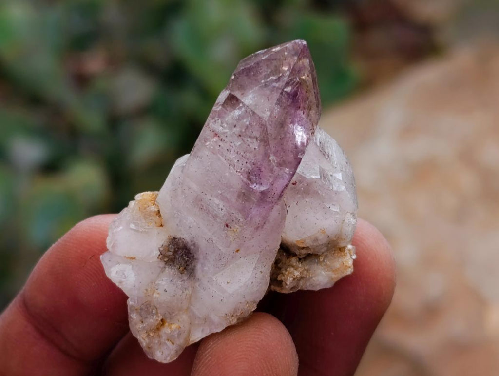 Natural Window Amethyst Crystals x 20 From Chiredzi, Zimbabwe