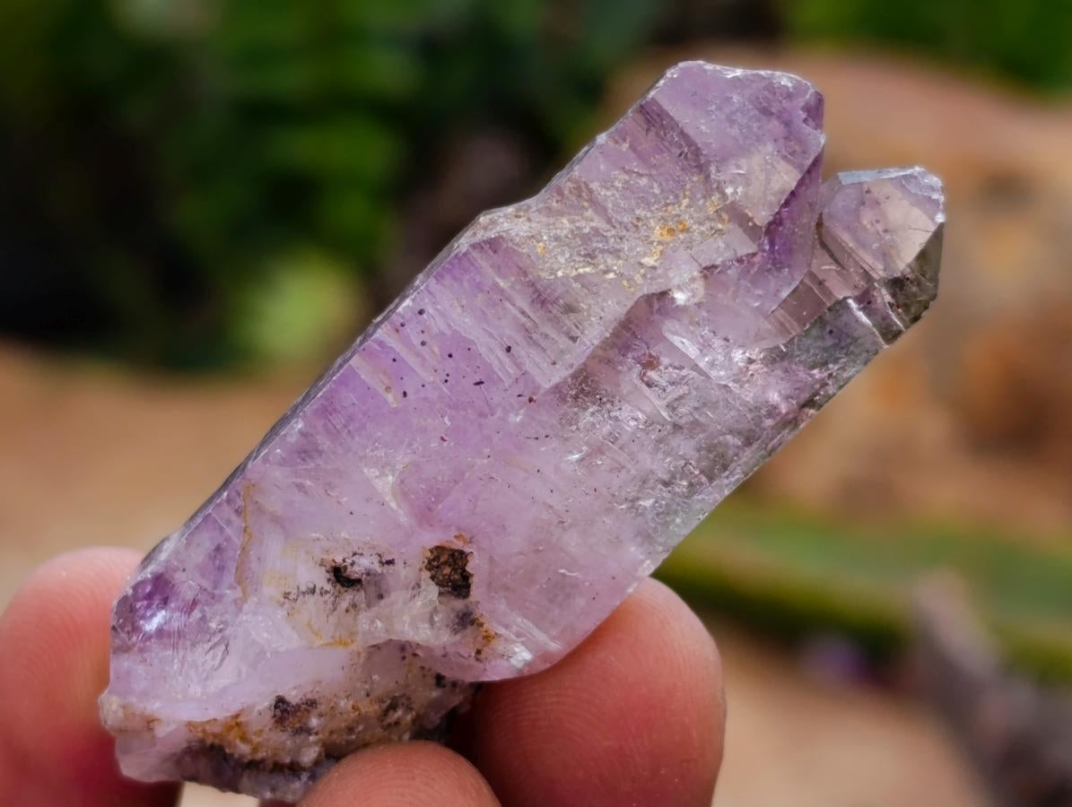 Natural Window Amethyst Crystals x 20 From Chiredzi, Zimbabwe