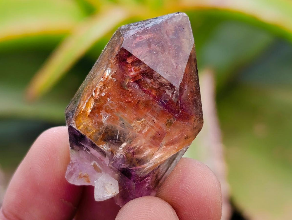 Natural Window Amethyst Crystals x 20 From Chiredzi, Zimbabwe