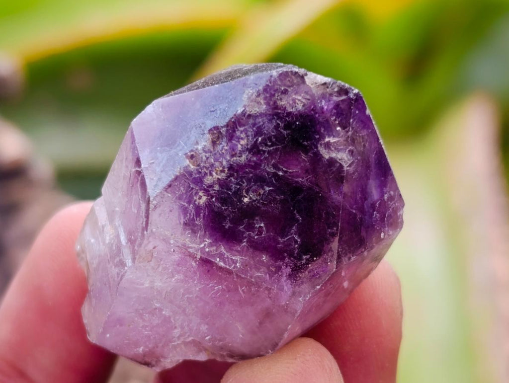 Natural Window Amethyst Crystals x 20 From Chiredzi, Zimbabwe