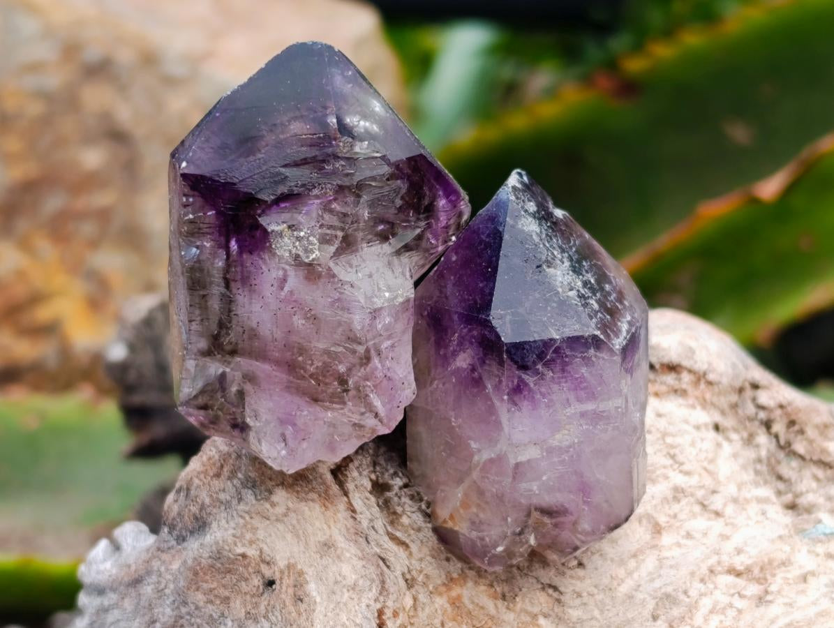 Natural Window Amethyst Crystals x 20 From Chiredzi, Zimbabwe