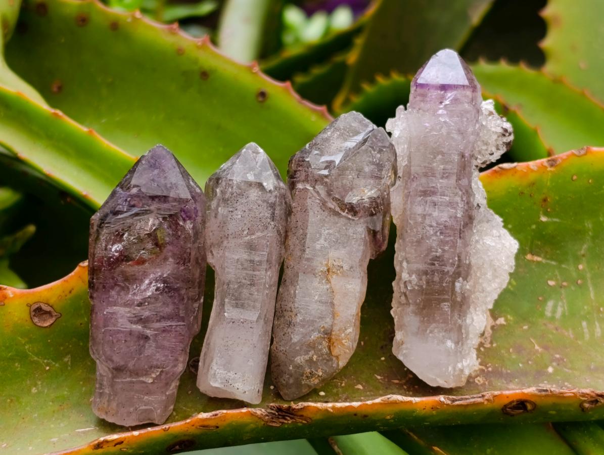 Natural Window Amethyst Crystals x 20 From Chiredzi, Zimbabwe