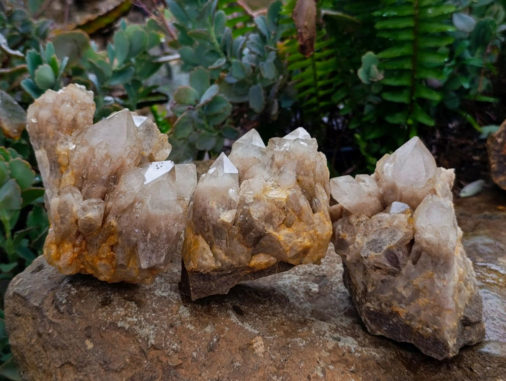 Natural White Phantom Cascading Smokey Luena Quartz Clusters x 3 From Luena, Congo