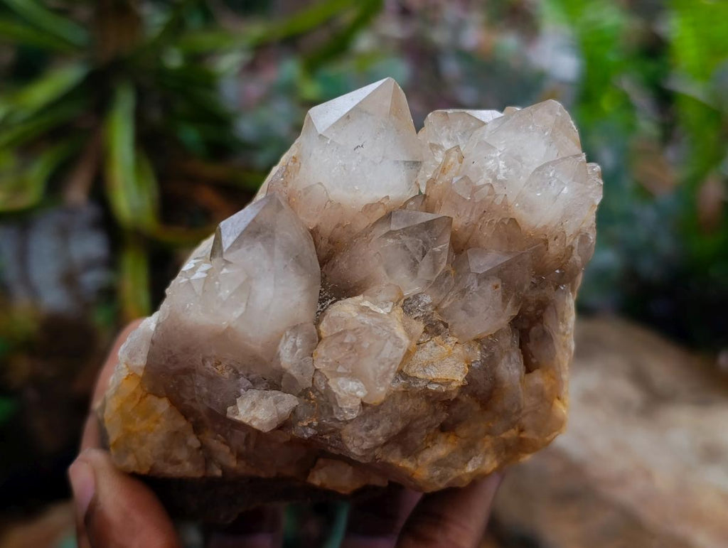 Natural White Phantom Cascading Smokey Luena Quartz Clusters x 3 From Luena, Congo