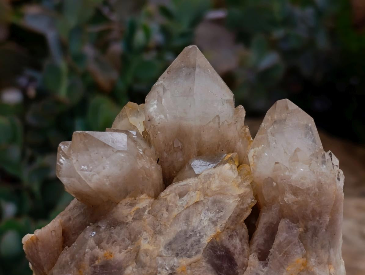 Natural White Phantom Cascading Smokey Luena Quartz Clusters x 3 From Luena, Congo
